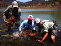 Mukaen na Gran Canaria - StreamerGuys