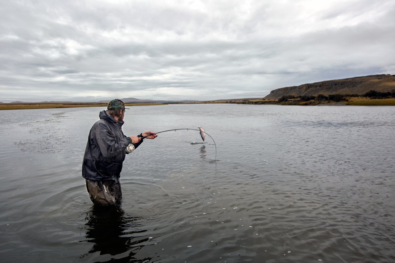 Mo��t� pstruzi jsou velice bojovn� ryby