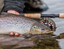 Závěrečný detail