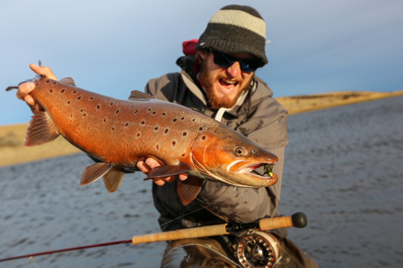 Kr�sn� vybarven� pstruh