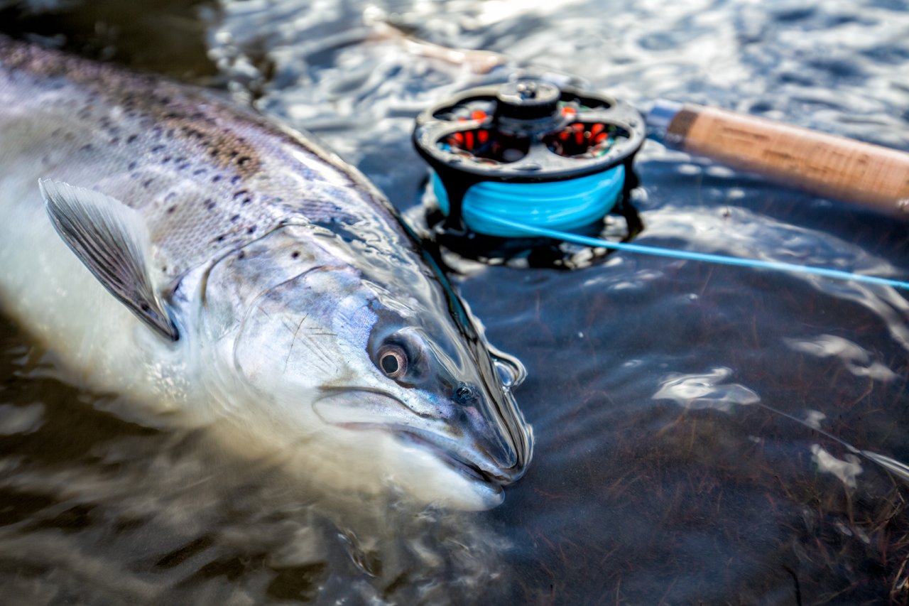 Navij�k Einarsson a pora�en� soupe�