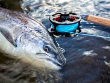 Naviják Einarsson a poražený soupeř