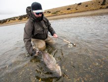Pouštění nádherného mořského pstruha