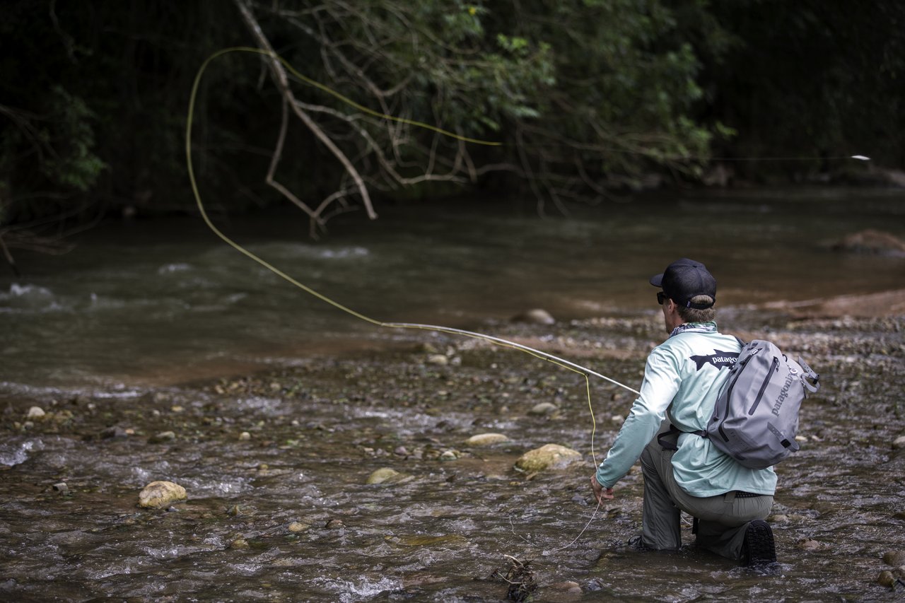 Lov t�chto divok�ch ryb vy�aduje p�esn� hody