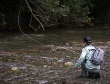 Lov těchto divokých ryb vyžaduje přesné hody