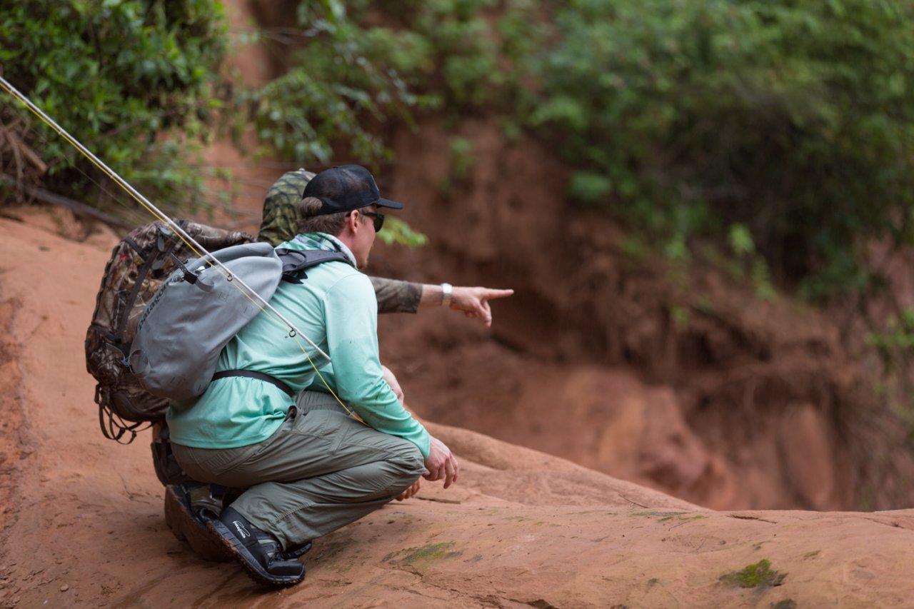 Hled�n� zlata...