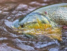 Chyť & Pusť je samozřejmostí!