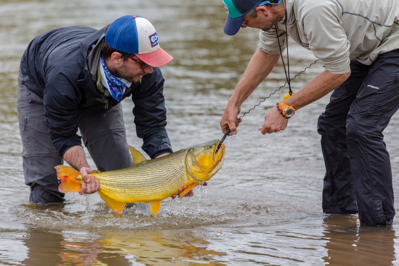 Dal�� kr�sn� dor�do