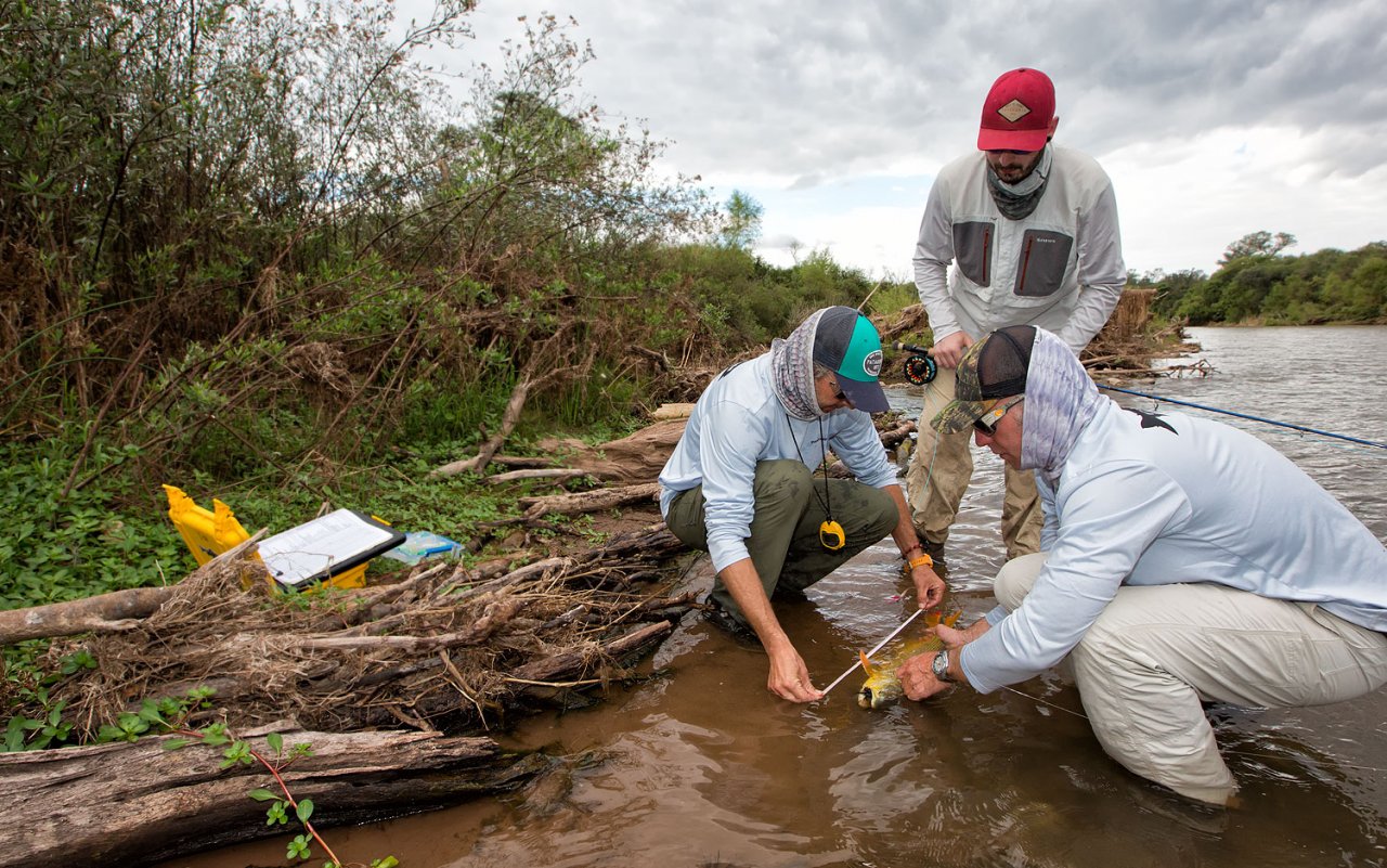 Bezchybn� spolupr�ce!