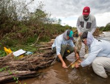 Bezchybná spolupráce!