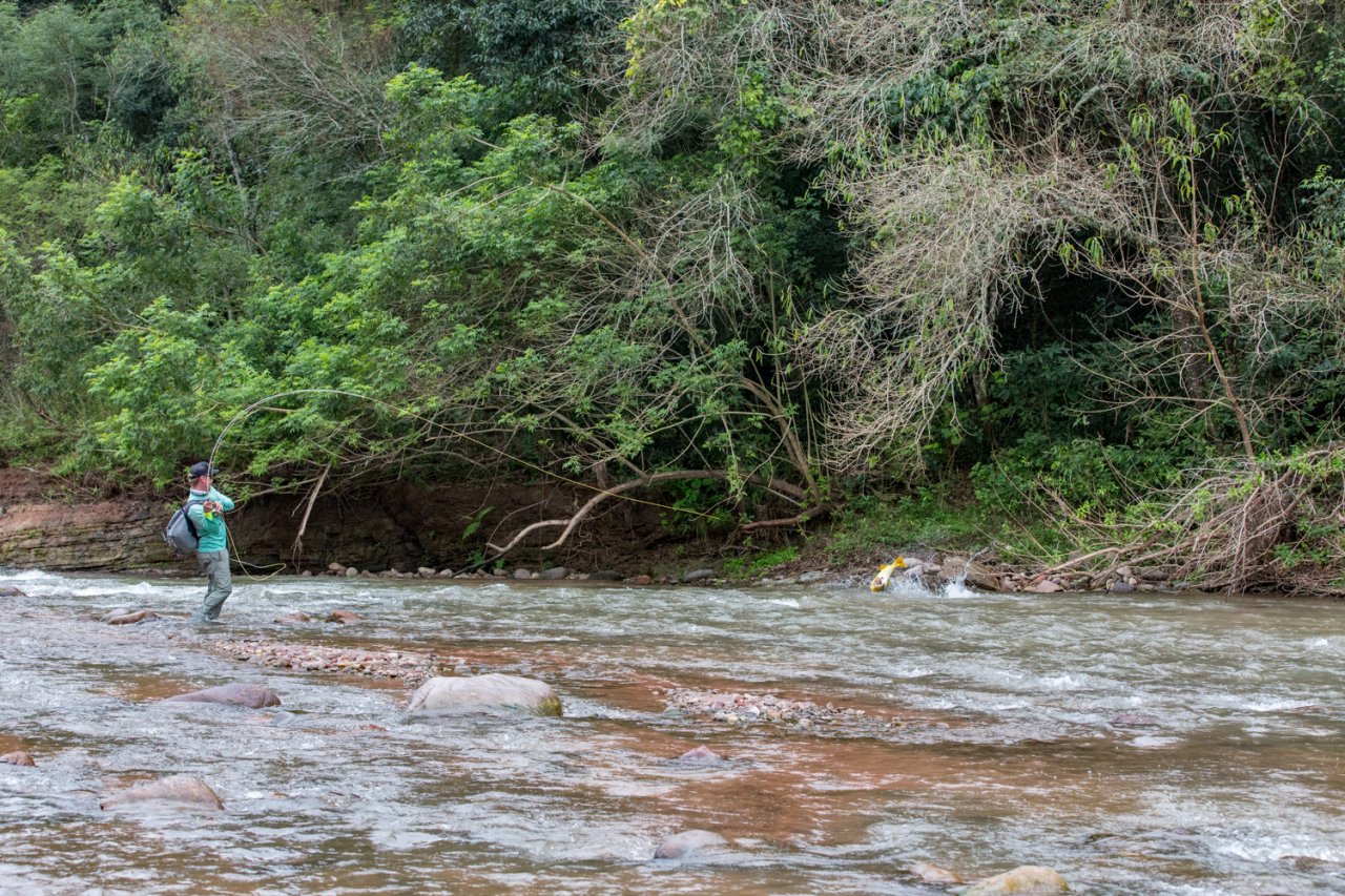 Dor�da jsou velc� bojovn�c� a skv�l� soupe�i