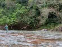 Doráda jsou velcí bojovnící a skvělí soupeři