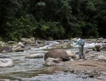 Přesné nahození mezi lovící doráda
