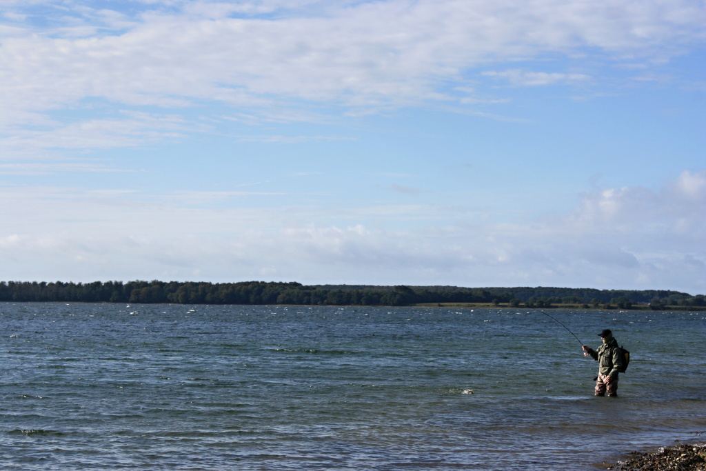 Pstruh se st�le nevzd�v�