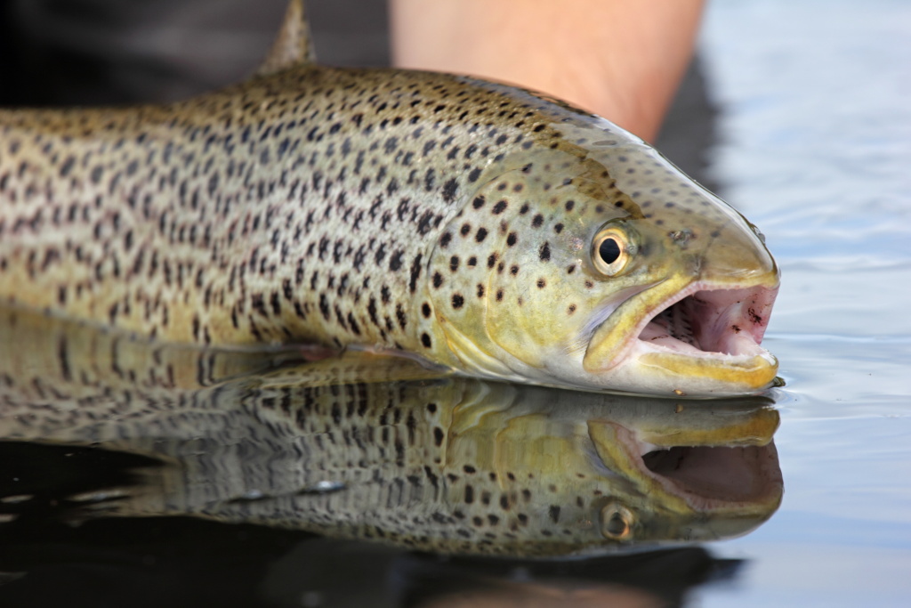 Na vid�nou p��t�!