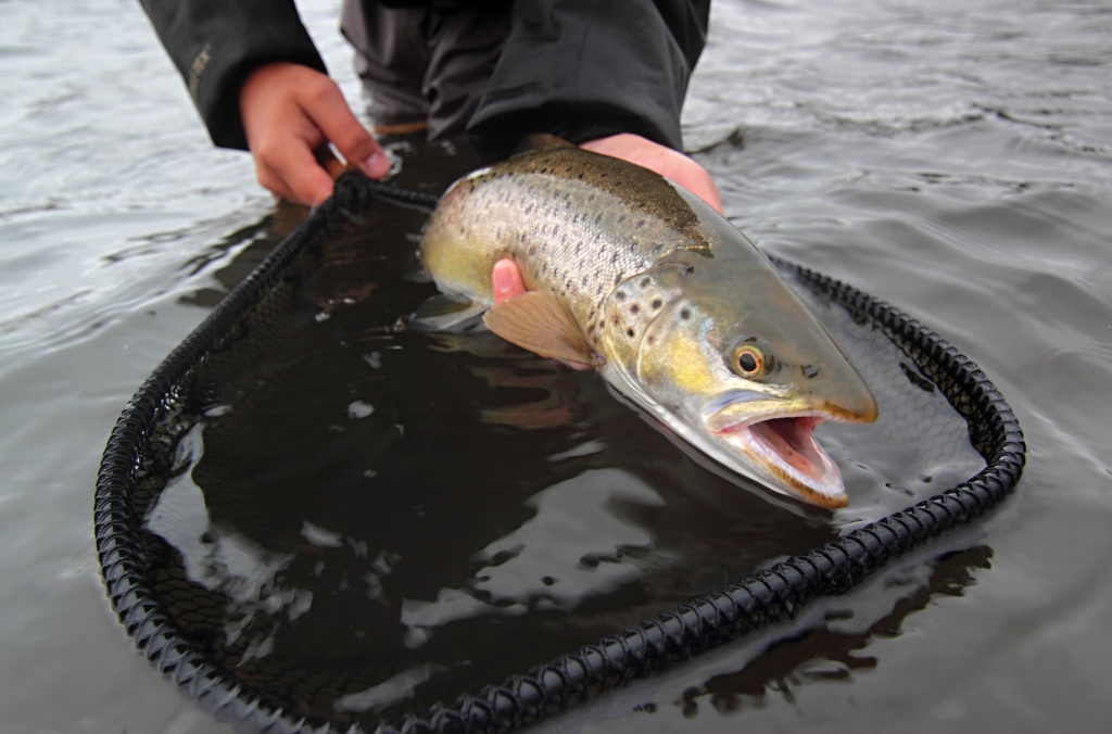 Posledn� zap�zov�n� fotografovi