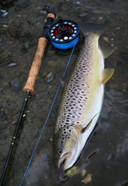 Hezky stav�n� d�nsk� mo��k