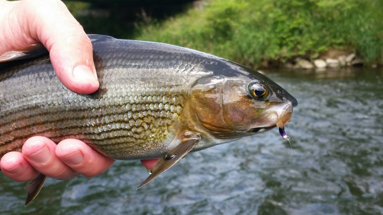 V�h v Ru�omberoku