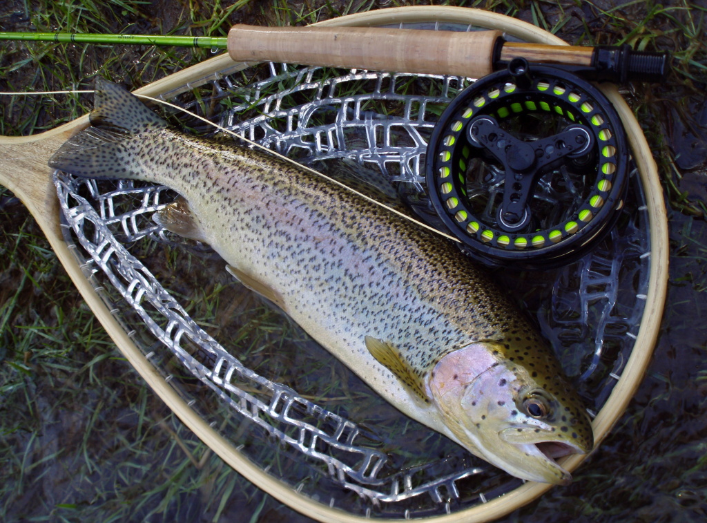 Kr�sn� vybarven� duh�k ve skv�l� kondici