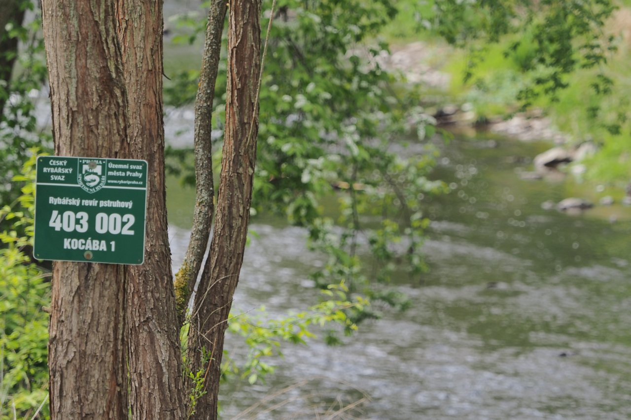 Koc�ba - pstruhov� ���ka kousek od Prahy