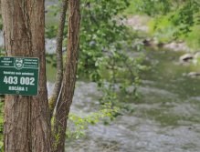 Kocába - pstruhová říčka kousek od Prahy