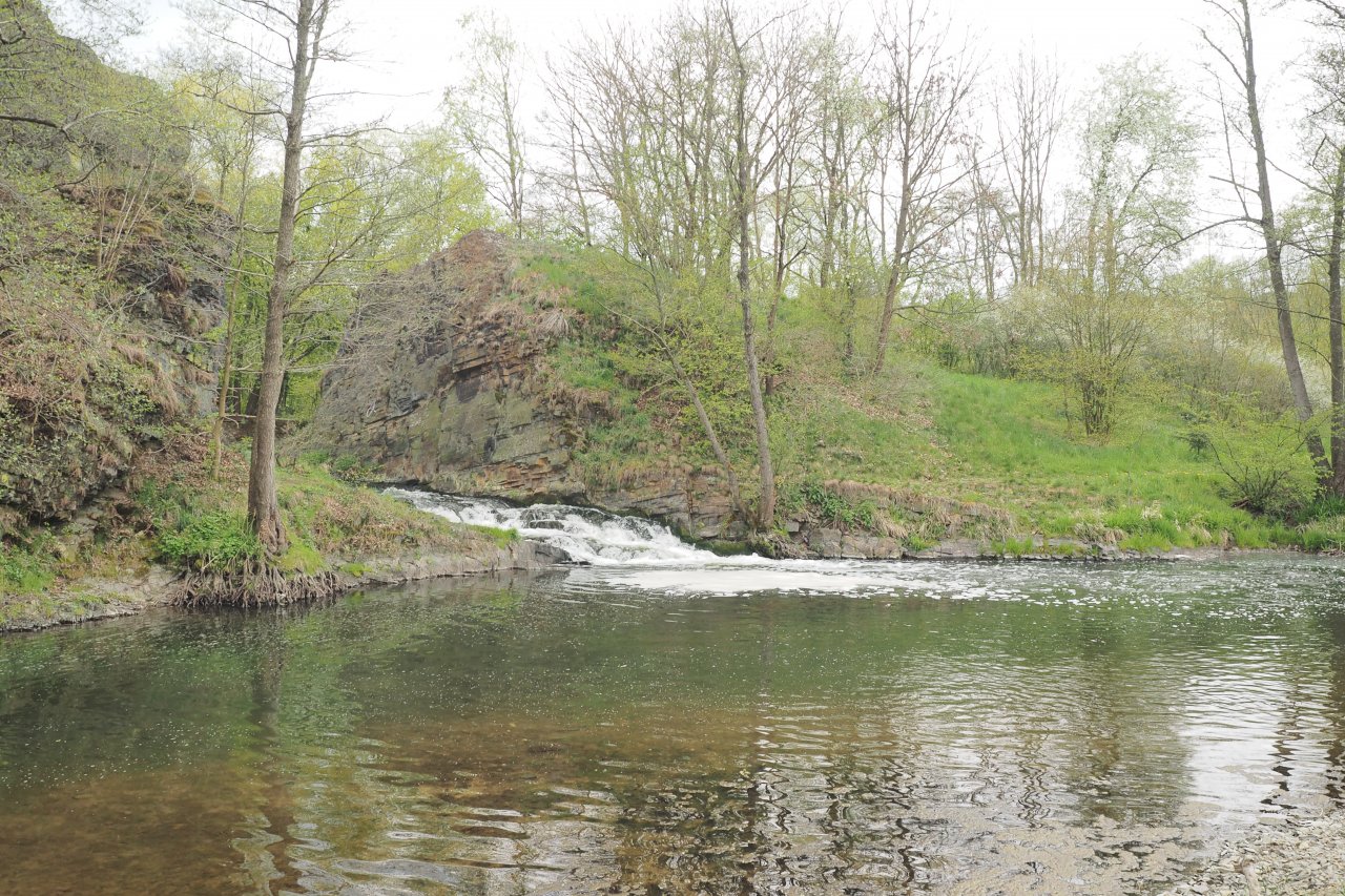 Koc�ba v Mal� Le�ici