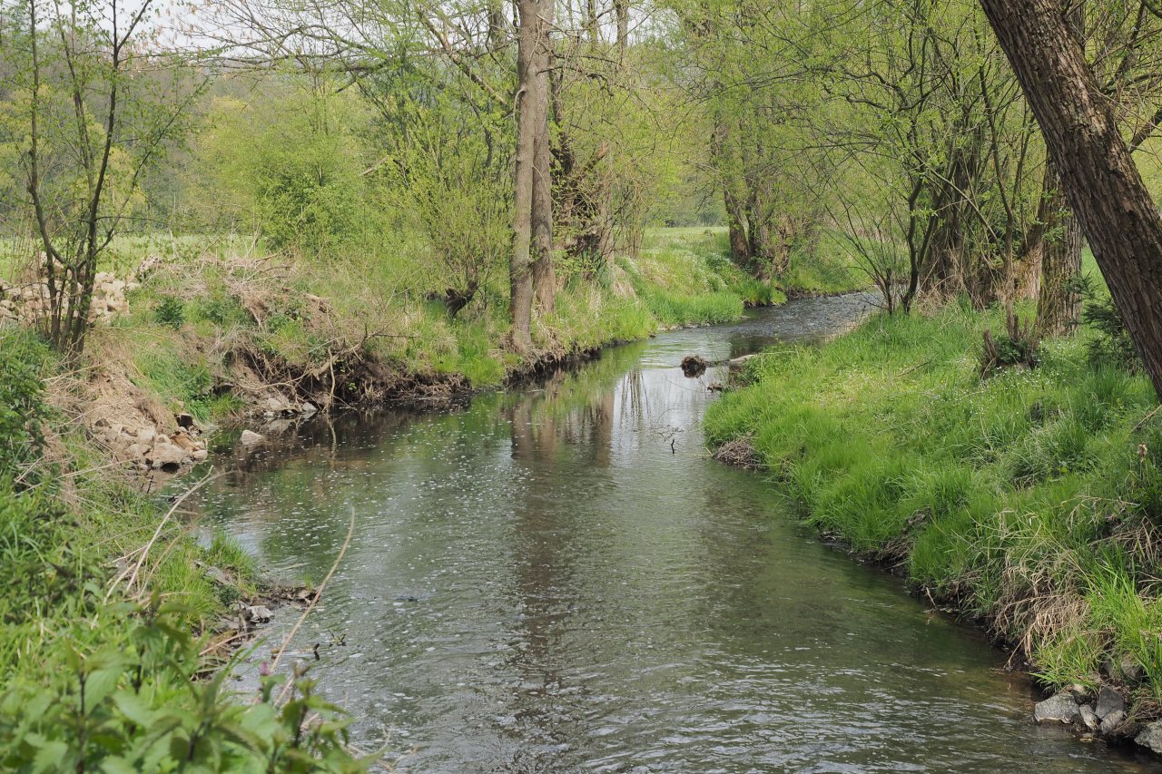 Koc�ba u Brat��nova