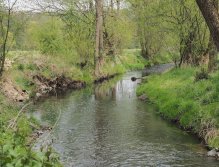 Kocába u Bratřínova