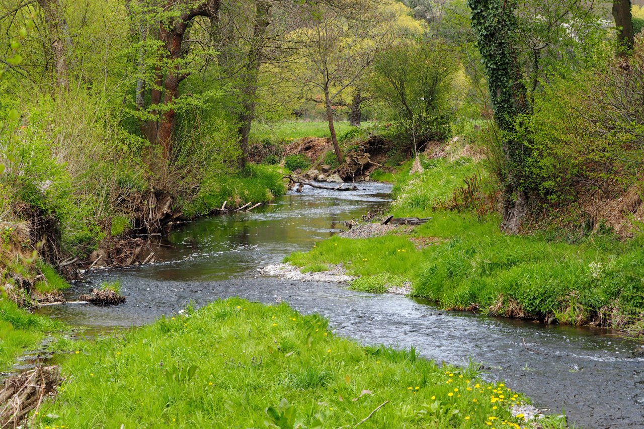 Koc�ba u Brat��nova