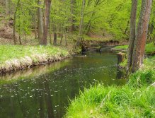 Kocába u Bratřínova