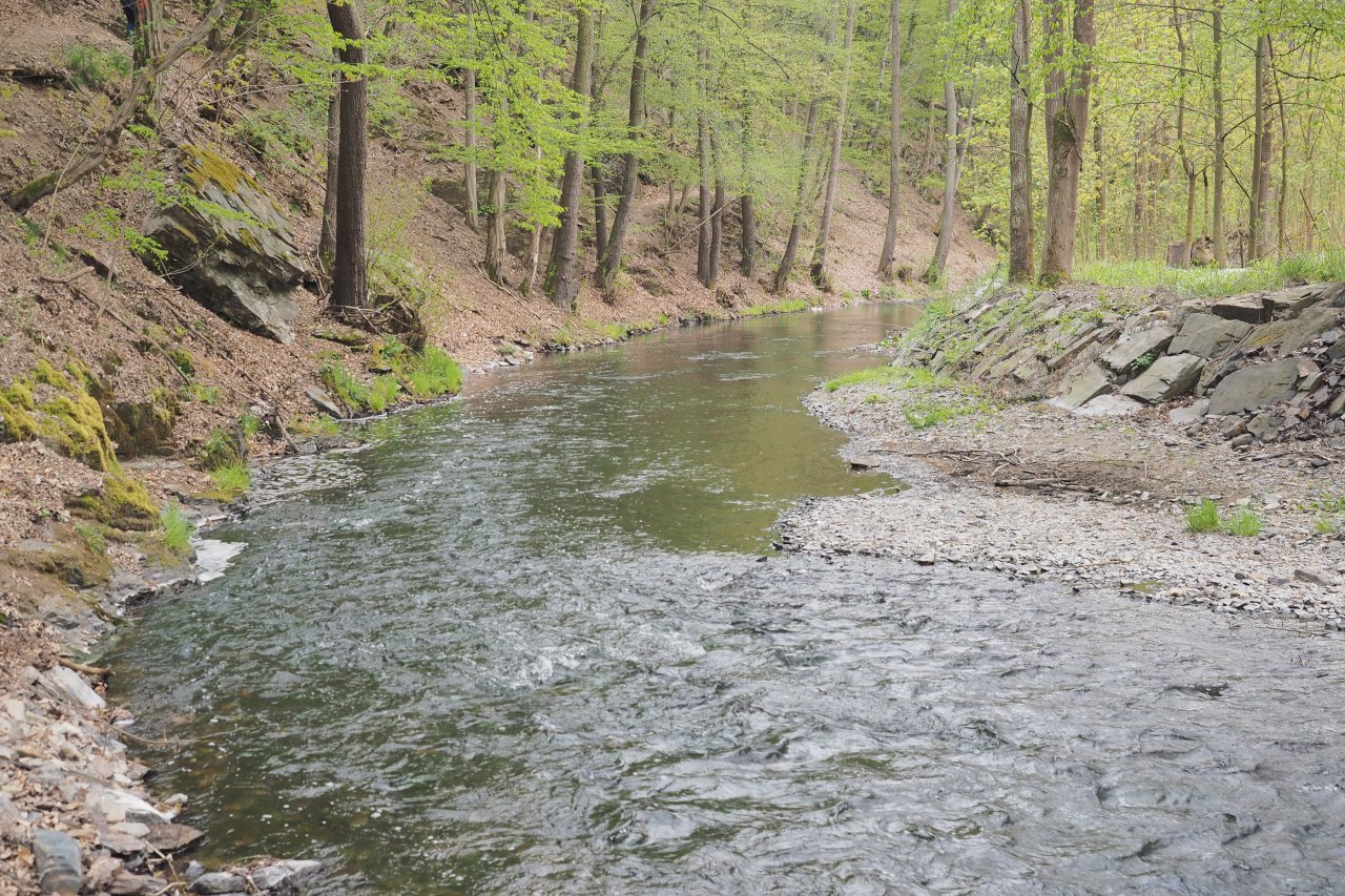 Koc�ba u �t�chovic