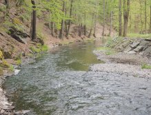 Kocába u Štěchovic