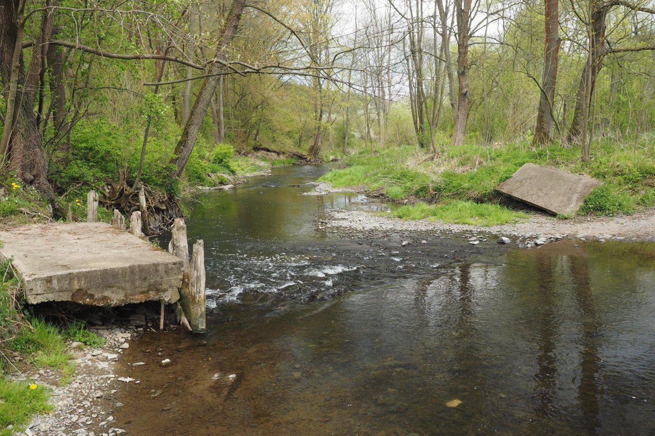 Koc�ba pod Nov�m Kn�nem