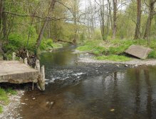 Kocába pod Novým Knínem