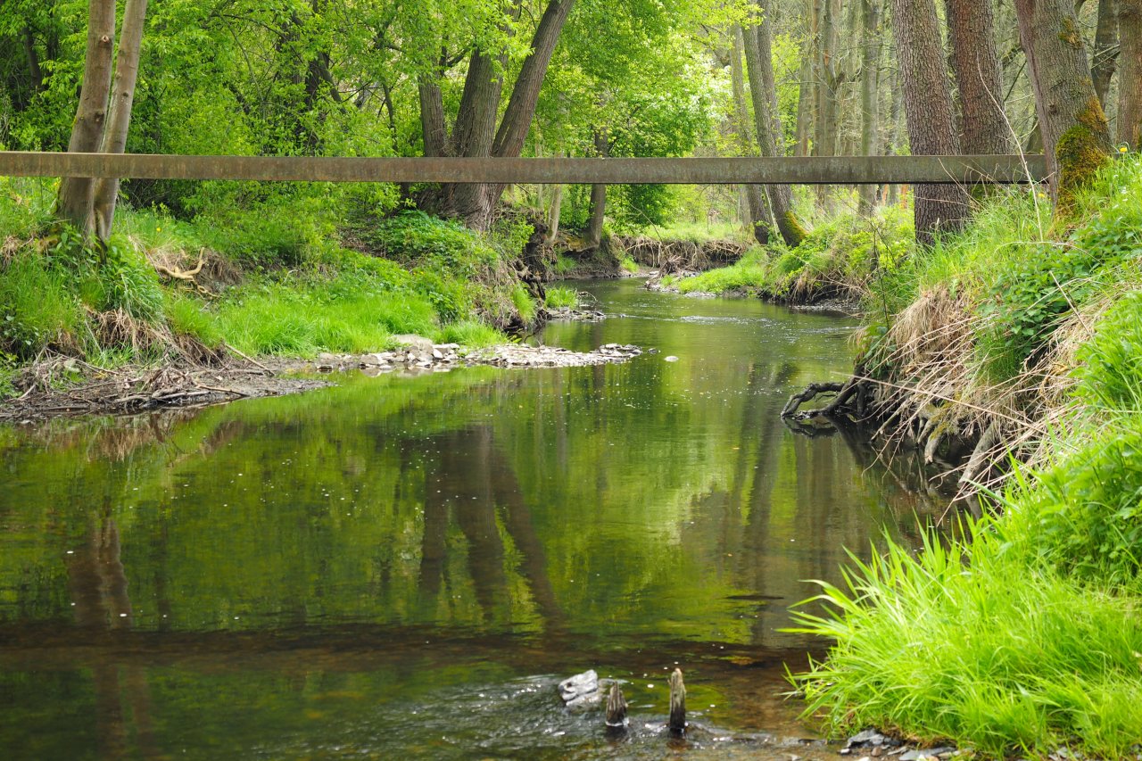 Koc�ba pod Nov�m Kn�nem