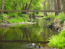 Kocába pod Novým Knínem