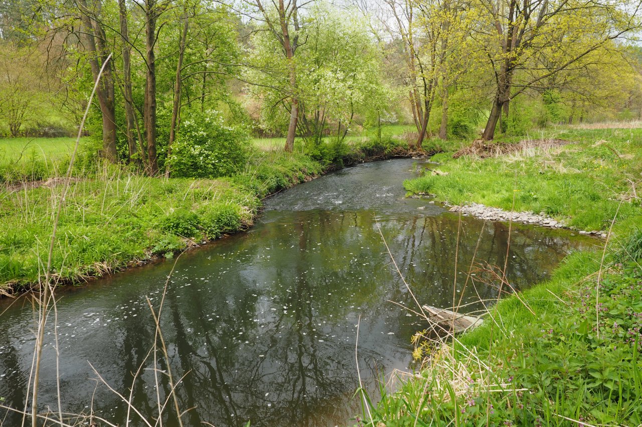 Koc�ba u Velk� Le�ice