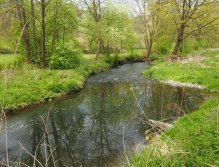 Kocába u Velké Lečice