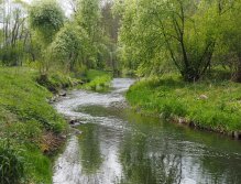 Kocába u Velké Lečice