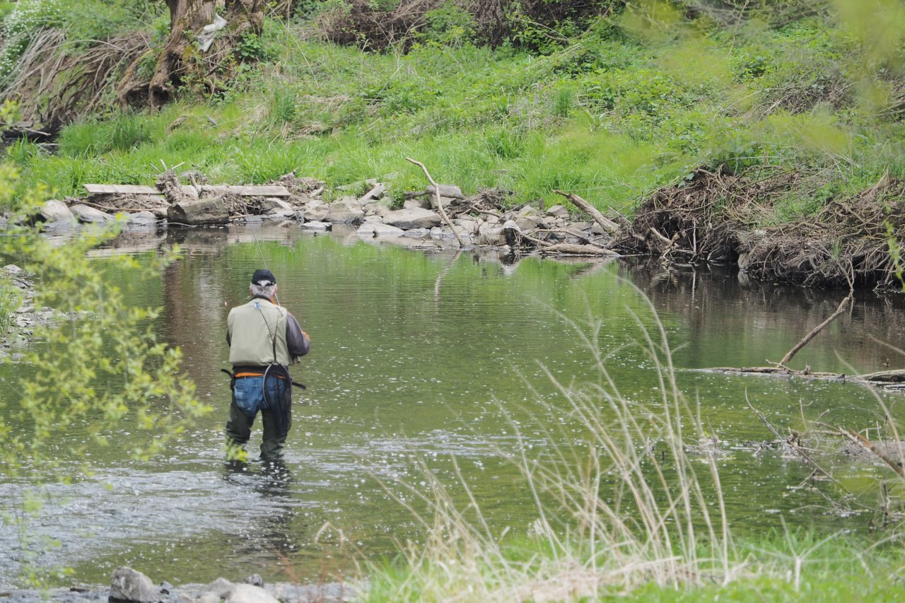 Ryba�en� na Koc�b�