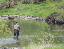 Rybaření na Kocábě