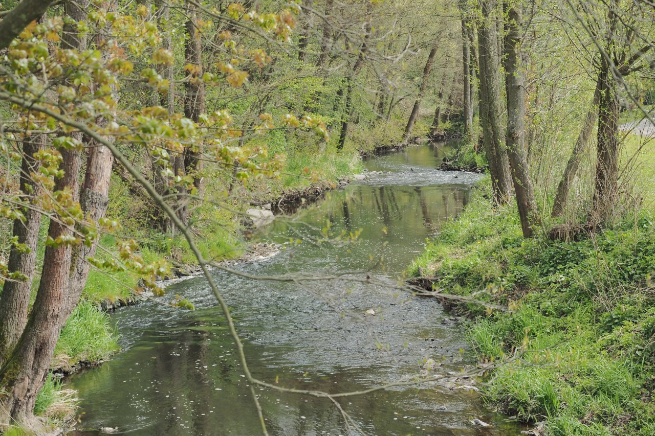 Koc�ba u Velk� Le�ice