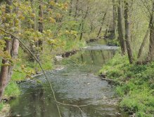 Kocába u Velké Lečice