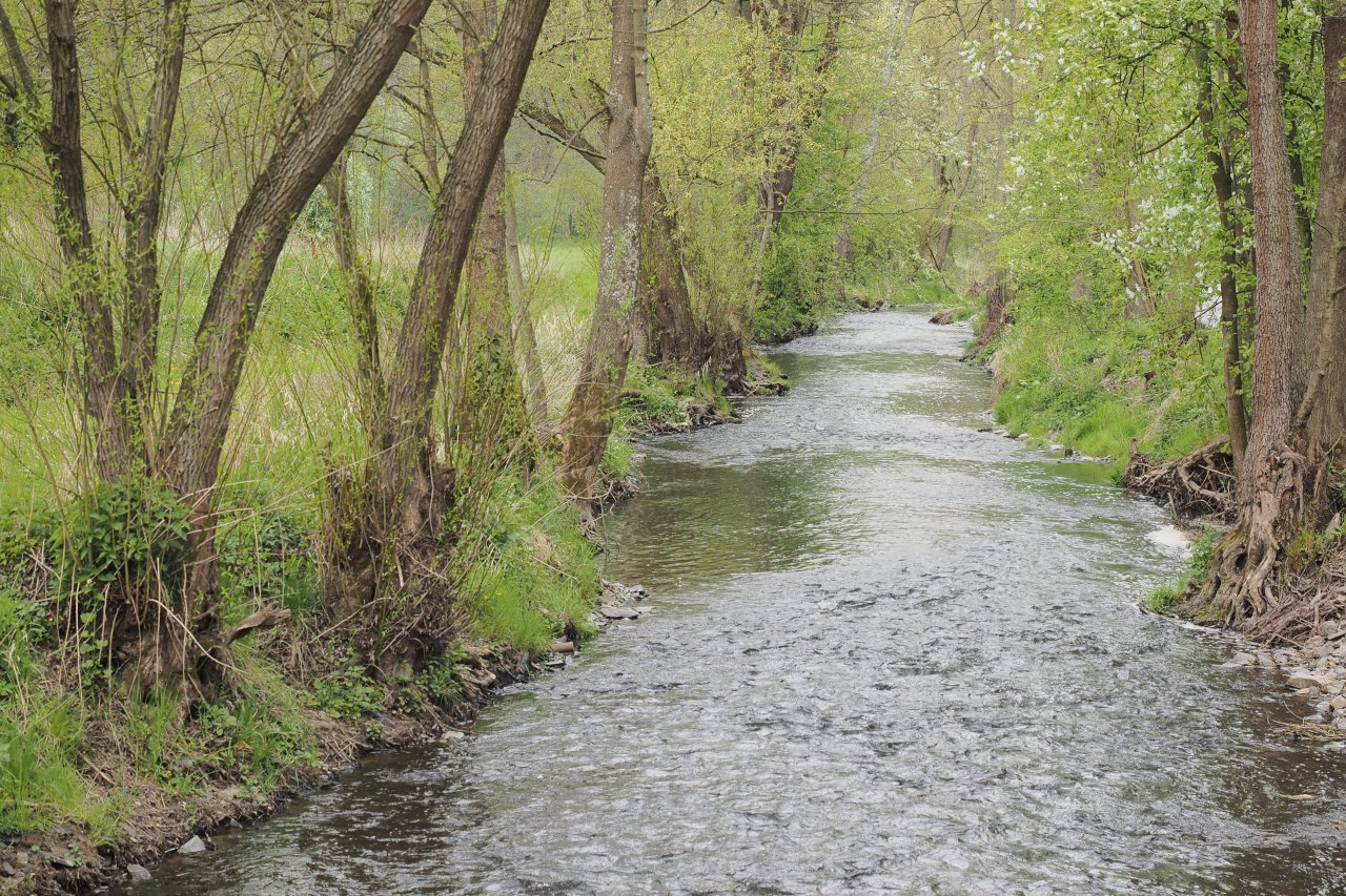 Koc�ba u Velk� Le�ice