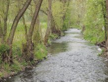 Kocába u Velké Lečice