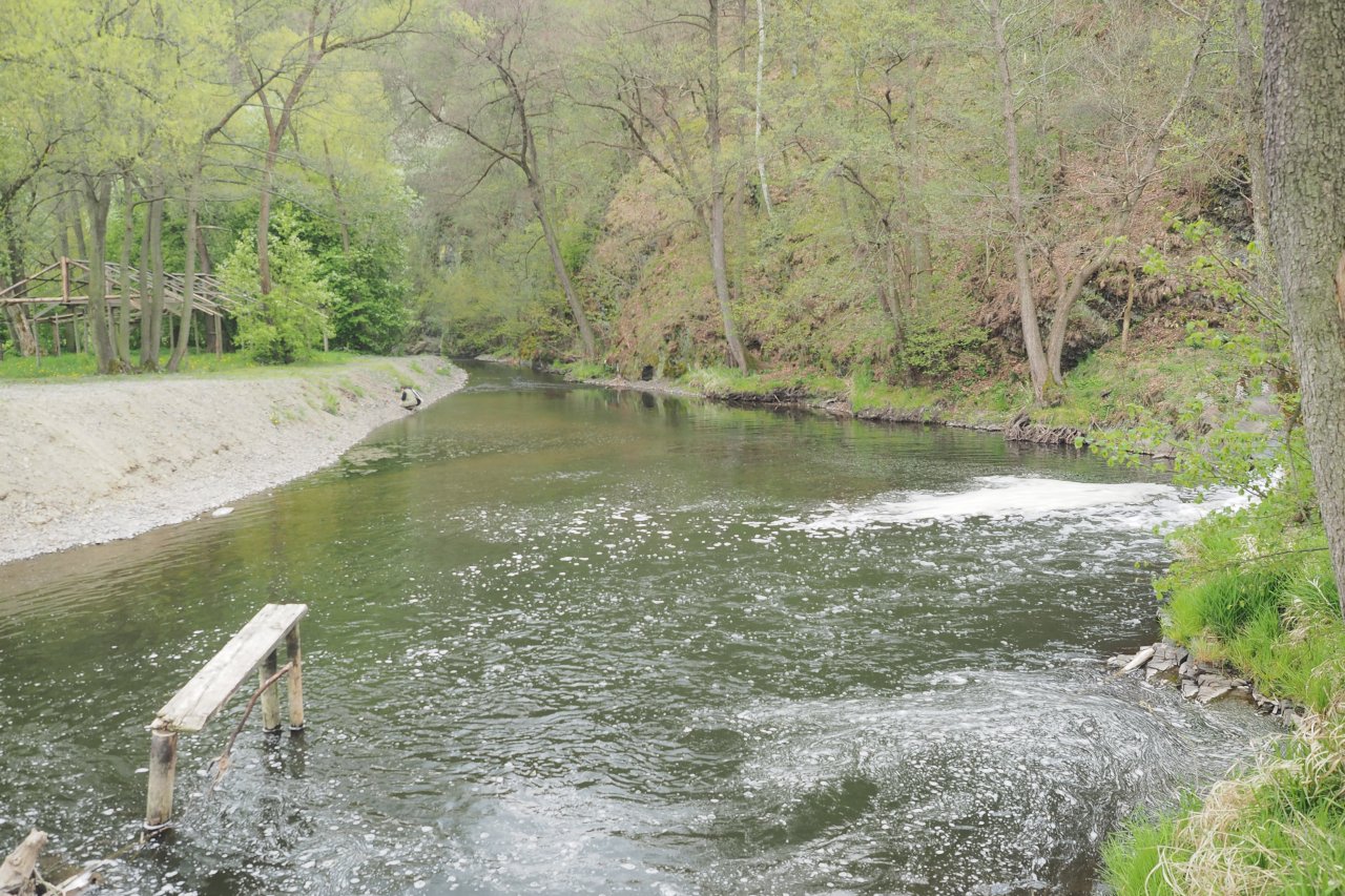 Koc�ba v Mal� Le�ici