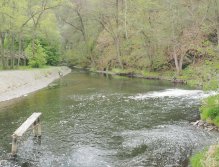 Kocába v Malé Lečici