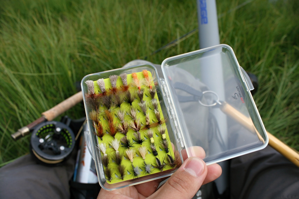 Kterou bych m�l zkusit nyn�?