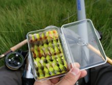 Kterou bych měl zkusit nyní?