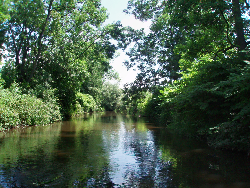 ��k�te si, p�kn� voda na mokrou mu�ku, je to tak? M�te pravdu, ale such� chrost�k je tu je�t� lep��!